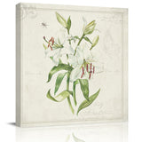 Vintage country plants lilies Canvas painting - LeobonZone