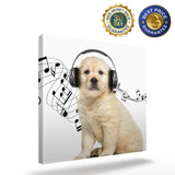 Golden retriever headphone music funny Canvas painting - LeobonZone