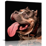 Bully bulldog close-up Canvas painting - LeobonZone