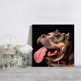 Bully bulldog close-up Canvas painting - LeobonZone