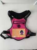 PILIMILK Pet vest harness - LeobonZone