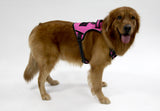 PILIMILK Pet vest harness - LeobonZone
