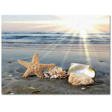 Sun Beach Starfish Right Angle Felt Rugs - LeobonZone