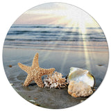 Sun Beach Starfish Circular Felt Rugs - LeobonZone