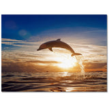 Summer night dolphin Right Angle Felt Rugs - LeobonZone